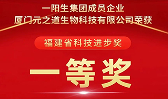 喜讯 | 云顶集团集团荣获“科技前进一等奖”