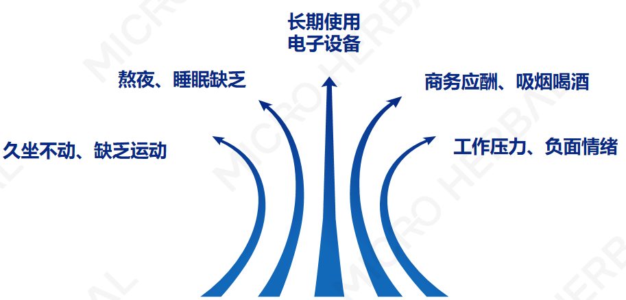 云顶集团3118(中国)官方网站